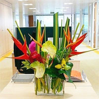 Corporate Flower Arrangements