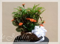 Planter & Fresh Cuts Flower Arrangement | Le Jardin Florist