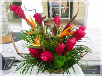 Tropical Wonder - a Le Jardin Florist Signature Flower Arrangement