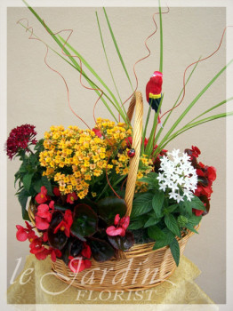French Blooming Basket